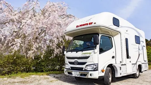 Cresson Voyager Single Wheel